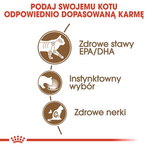 ROYAL CANIN Ageing +12 Gelee 12x85g ROYAL CANIN Ageing +12 Gelee 12x85g