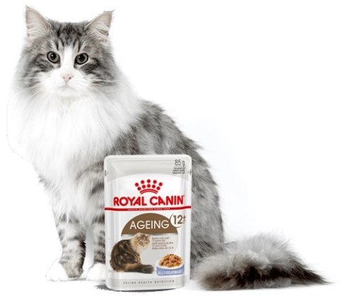 ROYAL CANIN Ageing +12 Gelee 12x85g ROYAL CANIN Ageing +12 Gelee 12x85g