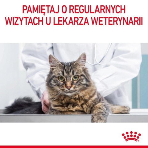 ROYAL CANIN Digestive Care 400g ROYAL CANIN Digestive Care 400g