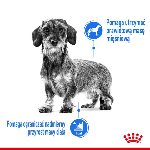 ROYAL CANIN Light Weight Care Pasztet 12x85g ROYAL CANIN Light Weight Care Pasztet 12x85g
