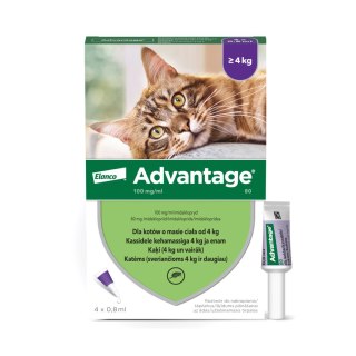 Bayer Advantage Roztwór Do Nakrapiania Dla Kotów 4x0,8ml Pchły
