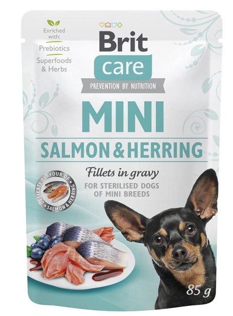 Brit Care Mini Filety W Sosie Z Łososia I Śledzia 85g Brit Care Mini Filety W Sosie Z Łososia I Śledzia 85g