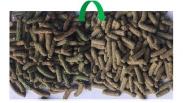 Versele-Laga Cuni Sensitive Complete - Pokarm Dla Królików 1,75kg Versele-Laga Cuni Sensitive Complete - Pokarm Dla Królików 1,75kg