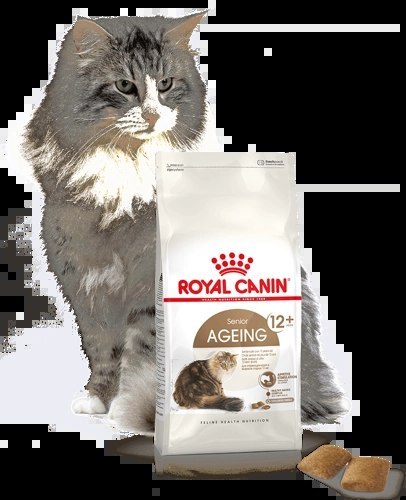 ROYAL CANIN Ageing +12 4kg ROYAL CANIN Ageing +12 4kg
