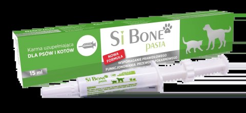 BIOVICO SIBONE PASTA 15 ml BIOVICO SIBONE PASTA 15 ml