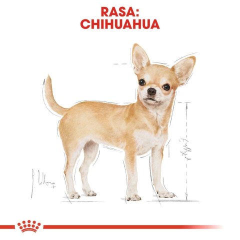 ROYAL CANIN Chihuahua Adult 500g ROYAL CANIN Chihuahua Adult 500g