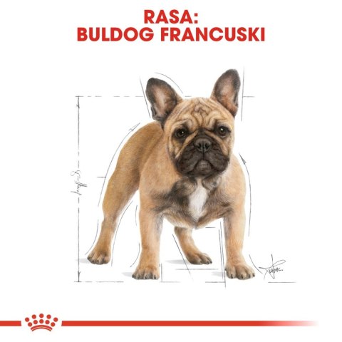 ROYAL CANIN French Bulldog Adult 1,5kg ROYAL CANIN French Bulldog Adult 1,5kg